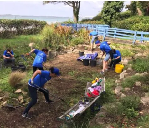Voluntarios trabajando en un huerto comunitario